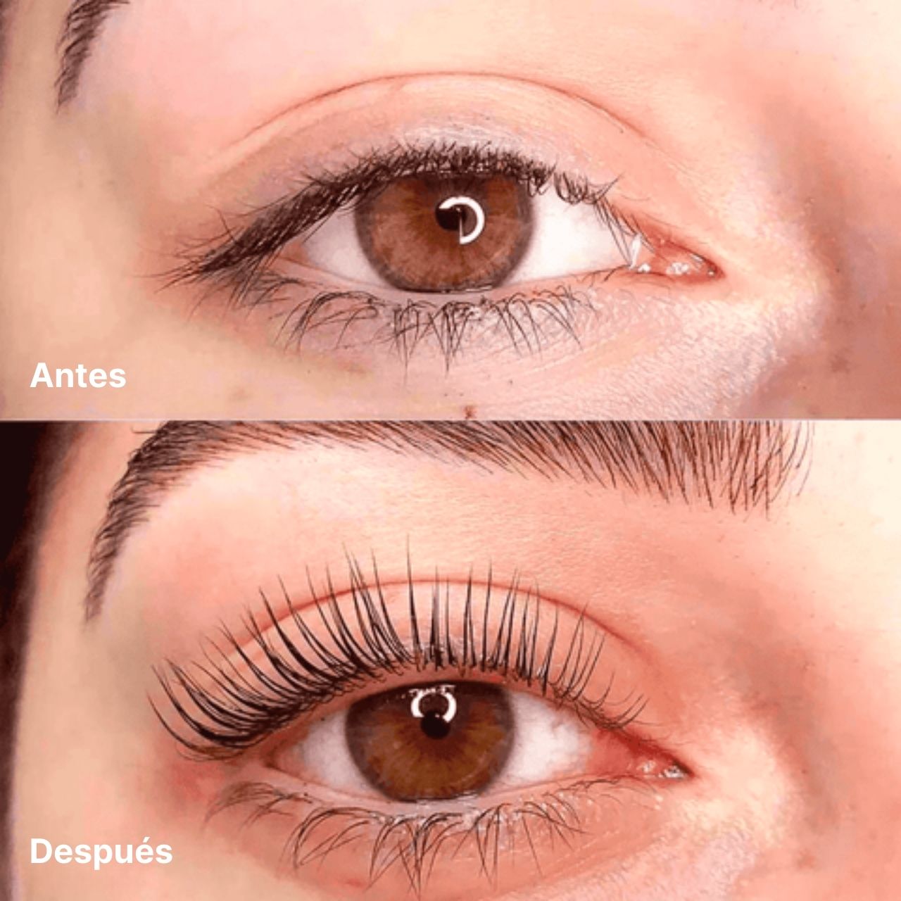LashLove® - Rizador de Pestañas por Calor