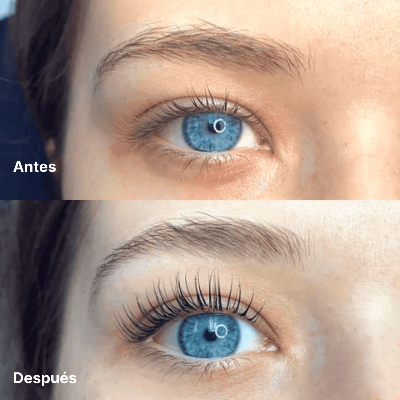 LashLove® - Rizador de Pestañas por Calor