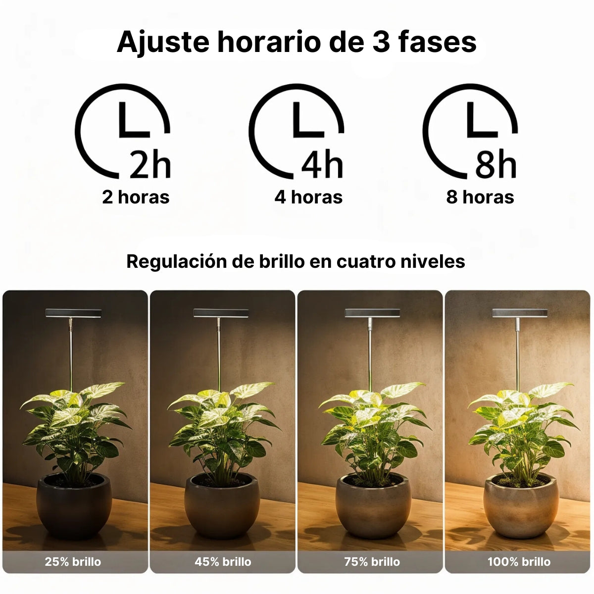 EcoHalo® - Lámpara LED para plantas de interior