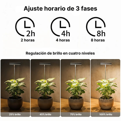 EcoHalo® - Lámpara LED para plantas de interior