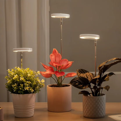 EcoHalo® - Lámpara LED para plantas de interior