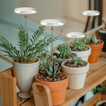 EcoHalo® - Lámpara LED para plantas de interior