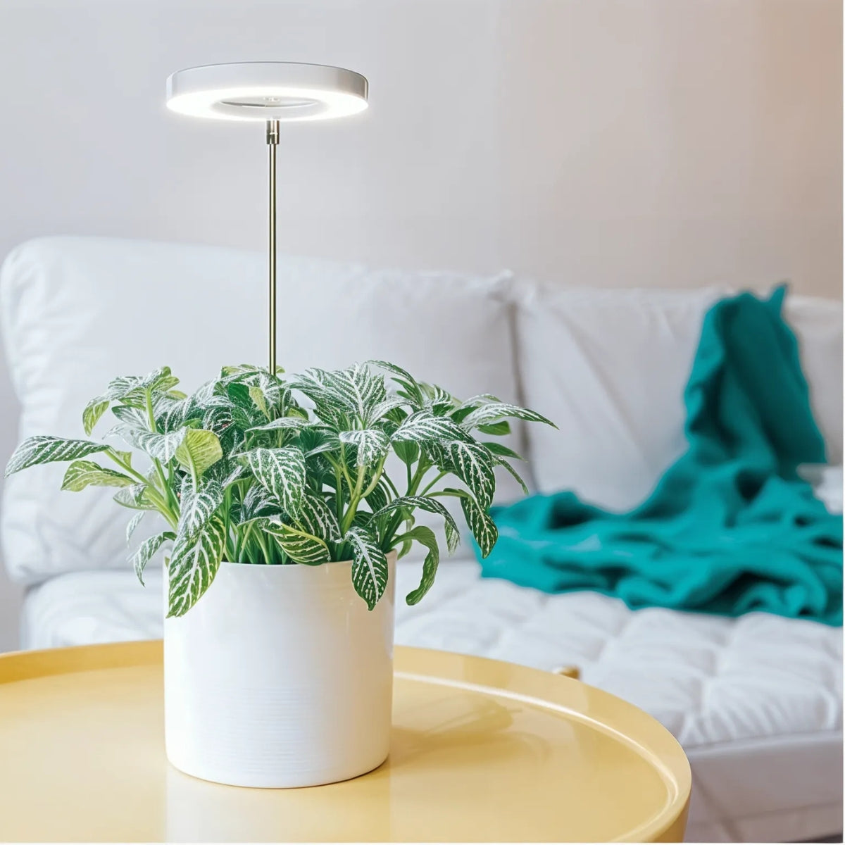 EcoHalo® - Lámpara LED para plantas de interior